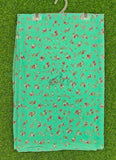 Beautiful Garden Vareli Lentus Saree