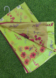 Exclusive Garden Fiona Border Nara Chiffon Saree