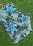 Garden Vareli Printed Nara Chiffon Saree