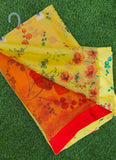 Exclusive Garden Fiona Border Nara Chiffon Saree