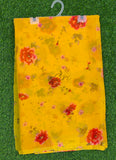Exclusive Garden Vareli Nara Chiffon Saree