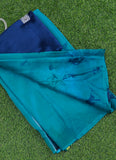 Beautiful Garden Vareli Nova Nara Chiffon Saree with Blouse