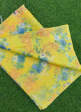 Beautiful Garden Vareli Printed Nara Chiffon Saree