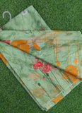 Beautiful Garden Vareli Nova Nara Chiffon Saree
