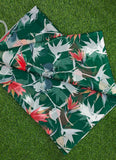 Beautiful Garden Vareli Printed Nara Chiffon Saree
