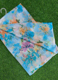 Beautiful Garden Vareli Printed Nara Chiffon Saree