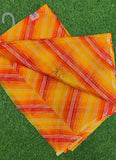 Authentic Garden Vareli Printed Nara Chiffon Saree