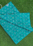 Authentic Garden Vareli Printed Nara Chiffon Saree