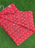 Authentic Garden Vareli Printed Nara Chiffon Saree