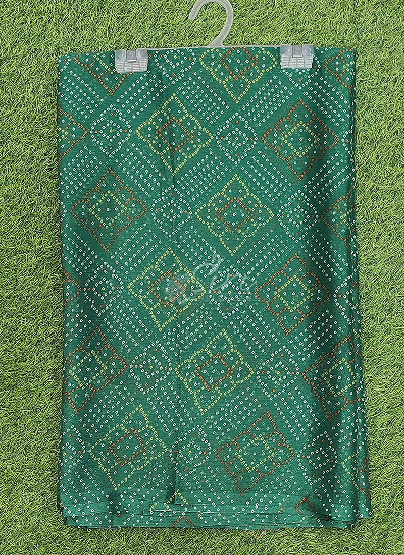 Authentic Garden Vareli Printed Nara Chiffon Saree