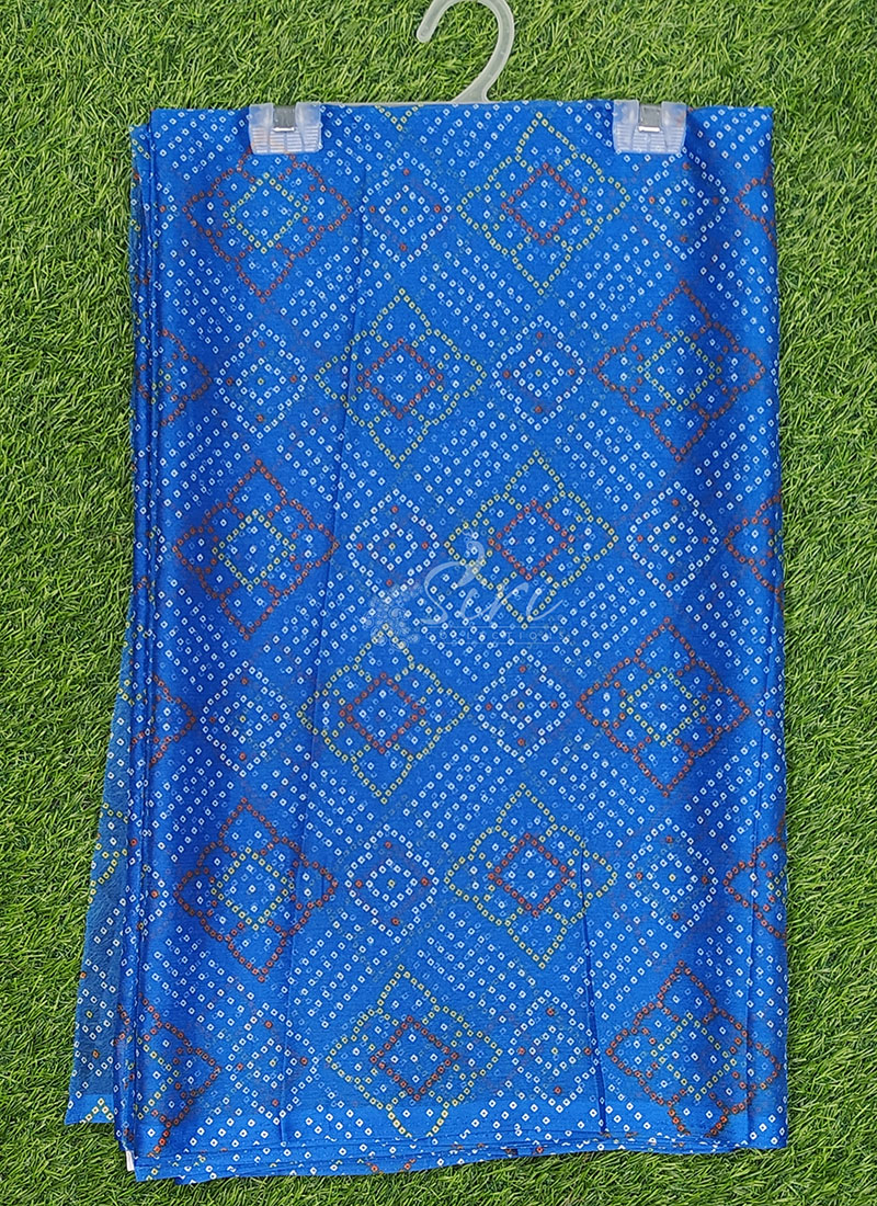 Authentic Garden Vareli Printed Nara Chiffon Saree