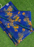 Authentic Garden Vareli Printed Nara Chiffon Saree