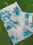 Lightweight Garden Vareli Nara Chiffon Saree