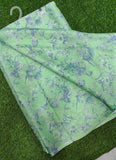 Lightweight Garden Vareli Nara Chiffon Saree