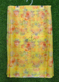 Authentic Garden Vareli Nara Chiffon Saree