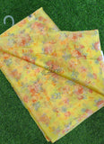 Authentic Garden Vareli Nara Chiffon Saree