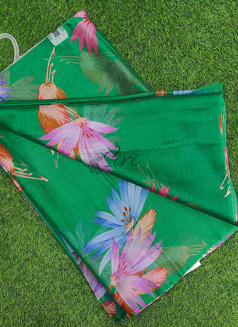 Authentic Garden Vareli Nara Chiffon Saree