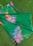 Authentic Garden Vareli Nara Chiffon Saree