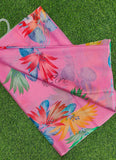Authentic Garden Vareli Nara Chiffon Saree