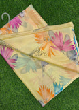 Authentic Garden Vareli Nara Chiffon Saree