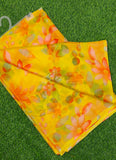 Latest Beautiful Garden Vareli Nara Chiffon Saree