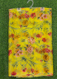 Latest Beautiful Garden Vareli Nara Chiffon Saree without Blouse