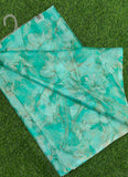 Latest Beautiful Garden Vareli Nara Chiffon Saree without Blouse