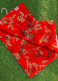 Exclusive Light Weight Garden Vareli Super Nara Chiffon Saree