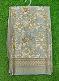 Beautiful Printed Brasso Georgette Saree